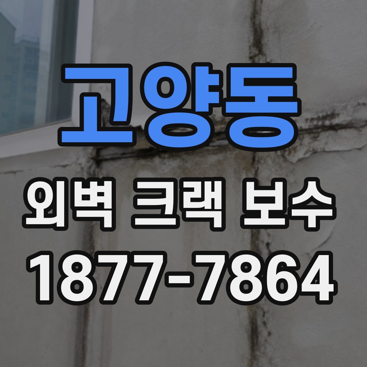 고양동 외벽 크랙 보수