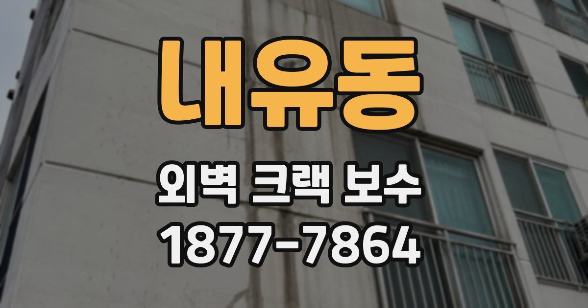 내유동 외벽 크랙 보수