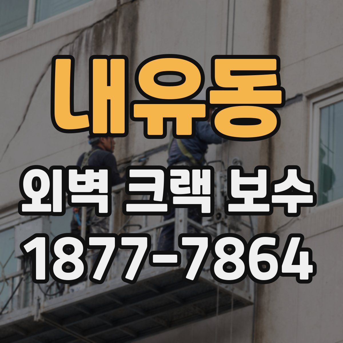 내유동 외벽 크랙 보수