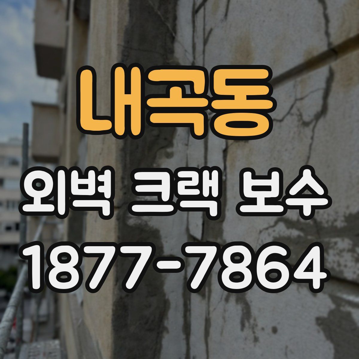 내곡동 외벽 크랙 보수