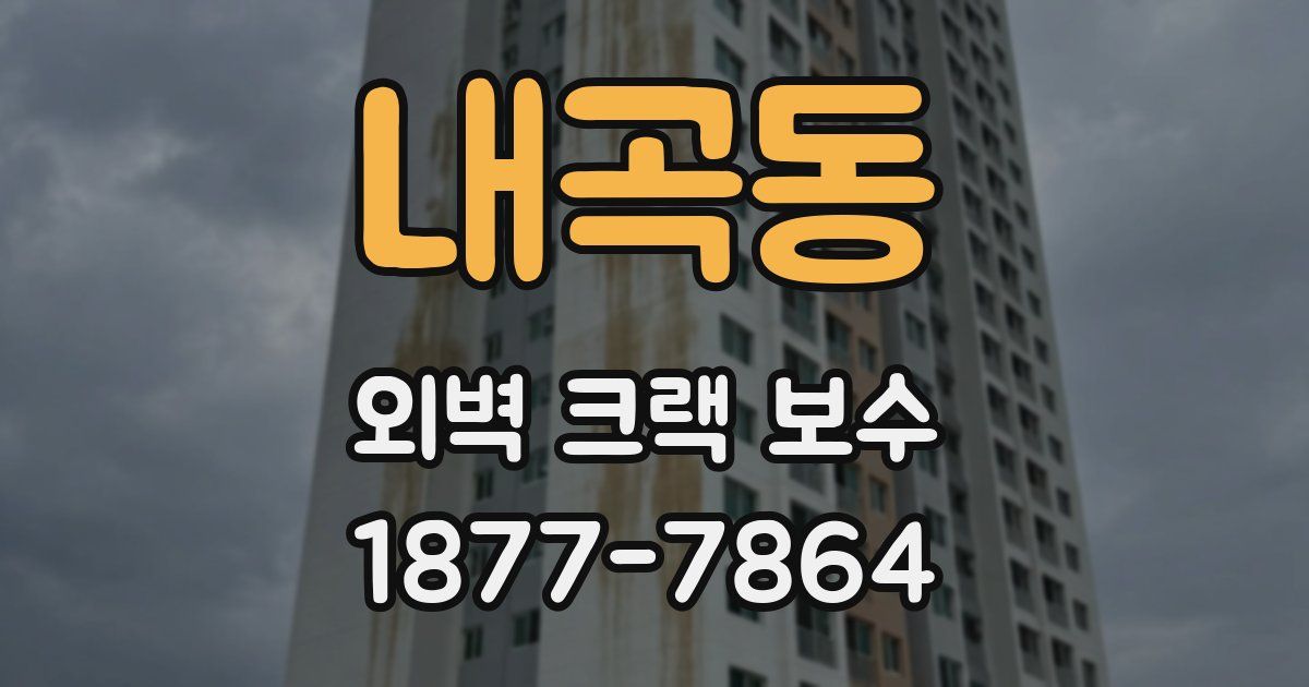 내곡동 외벽 크랙 보수