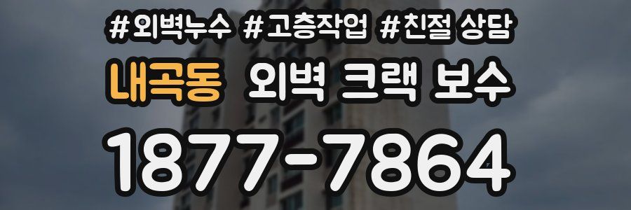 내곡동 외벽 크랙 보수