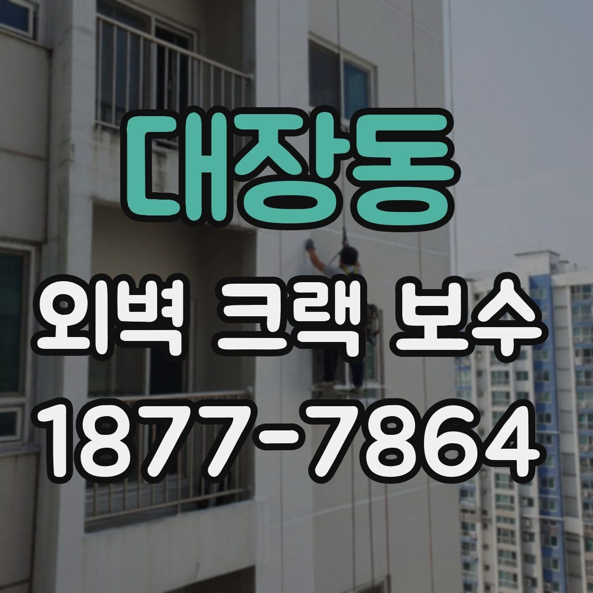 대장동 외벽 크랙 보수 전 전문가 진단이 필요한 경우