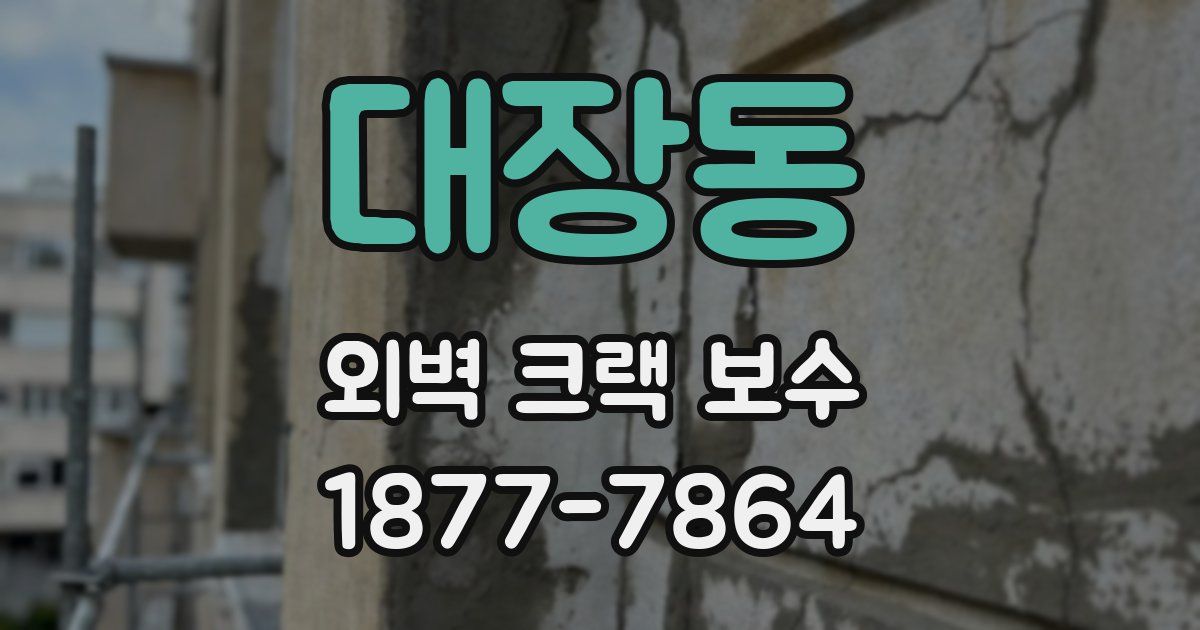 대장동 외벽 크랙 보수