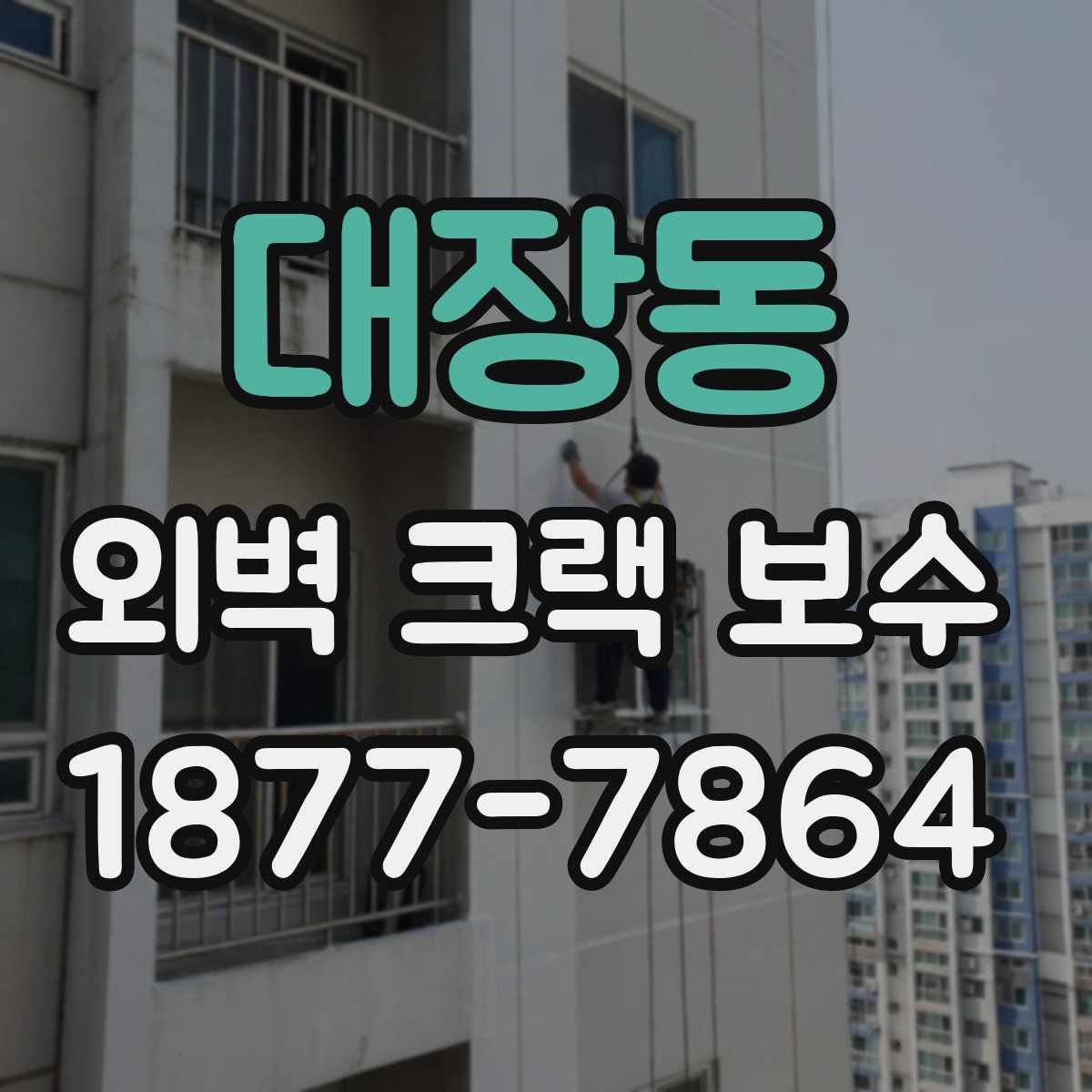 대장동 외벽 크랙 보수