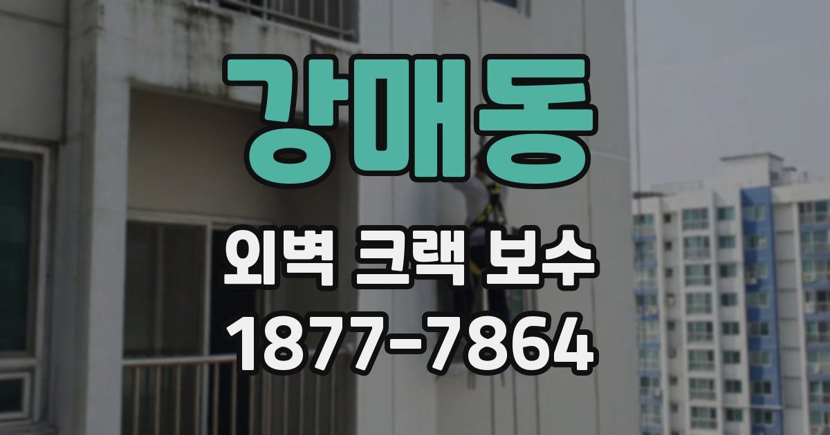 강매동 외벽 크랙 보수