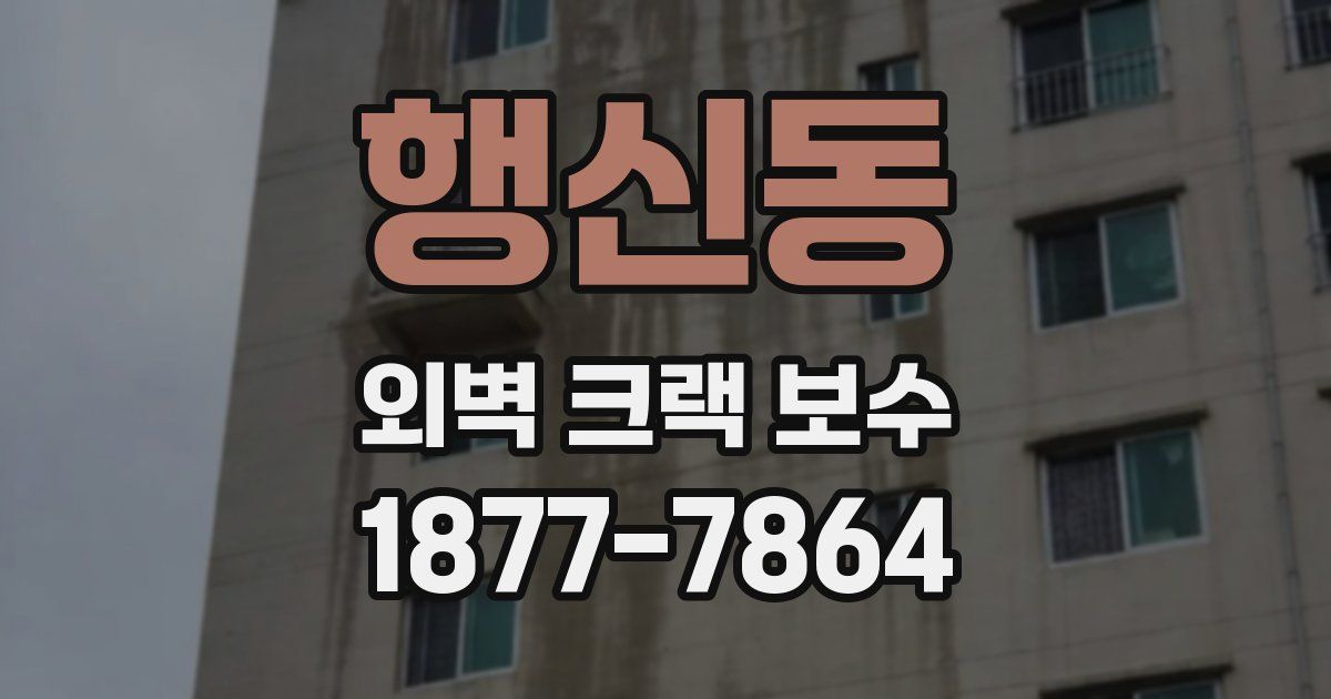 행신동 외벽 크랙 보수