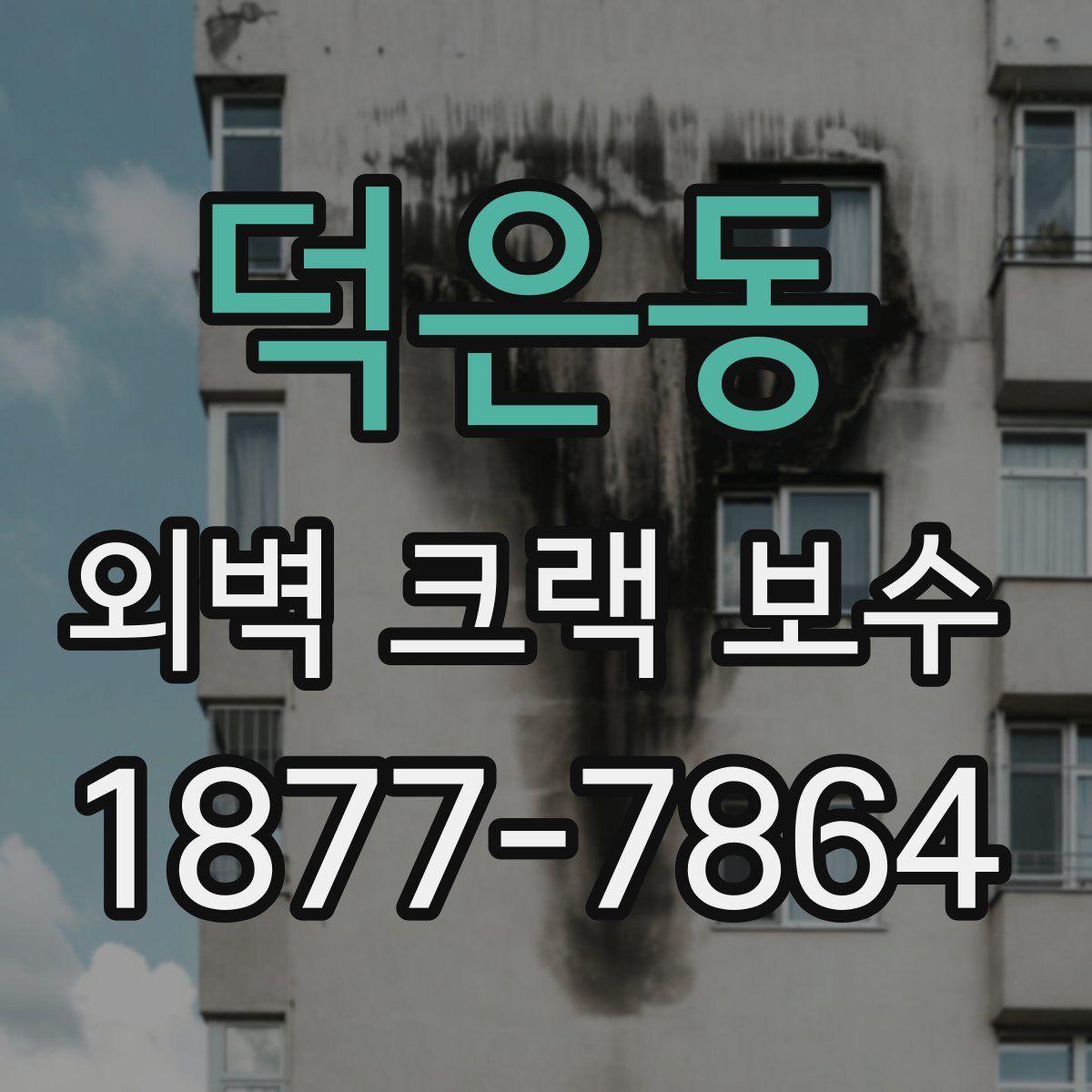 덕은동 외벽 크랙 보수