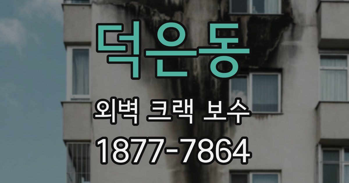 덕은동 외벽 크랙 보수