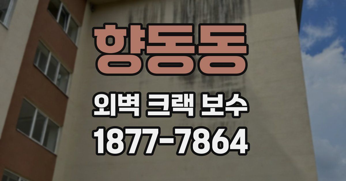 향동동 외벽 크랙 보수