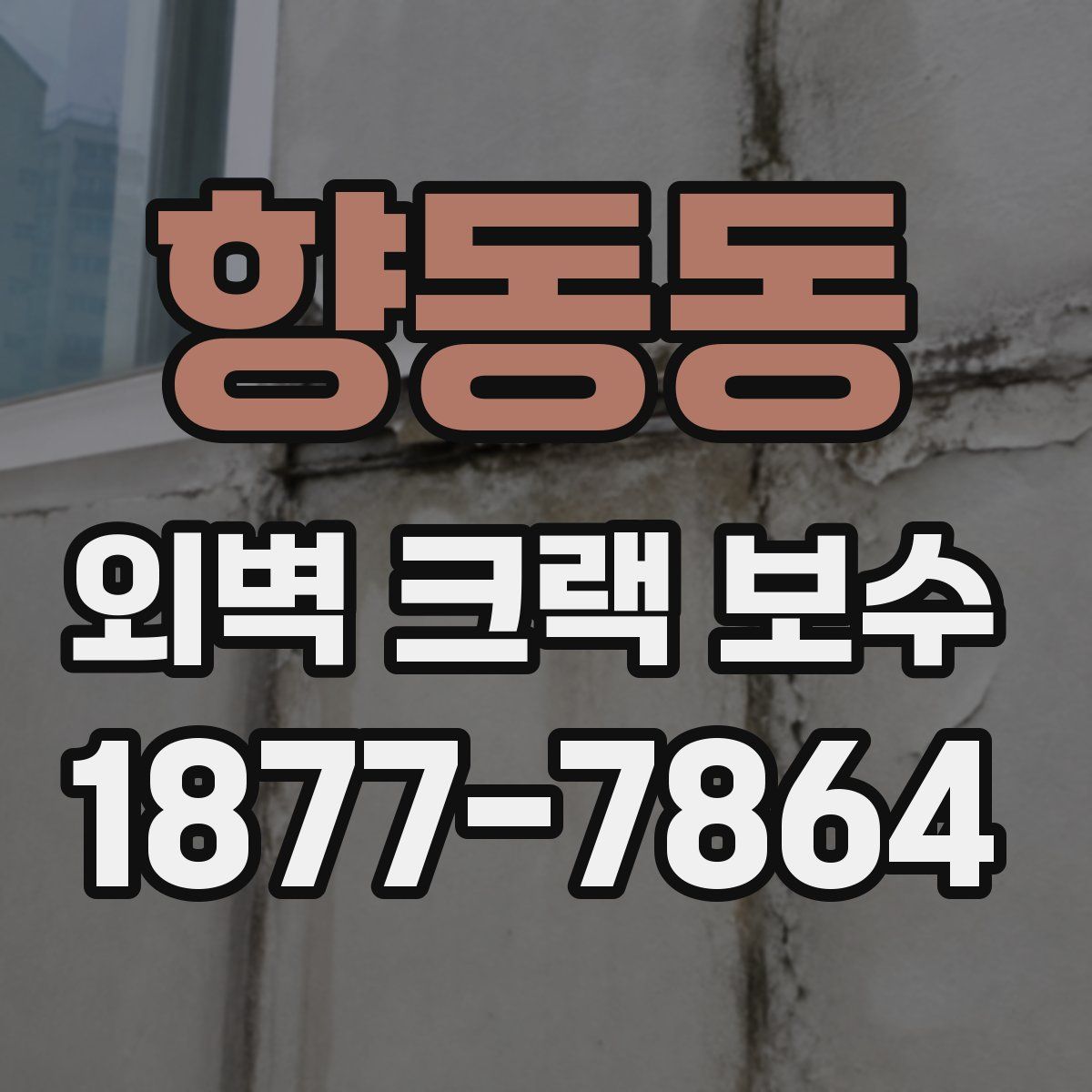 향동동 외벽 크랙 보수