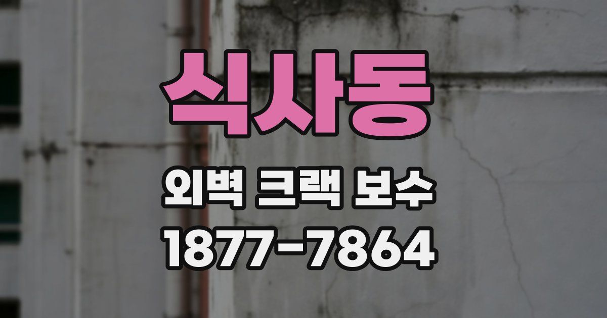 식사동 외벽 크랙 보수