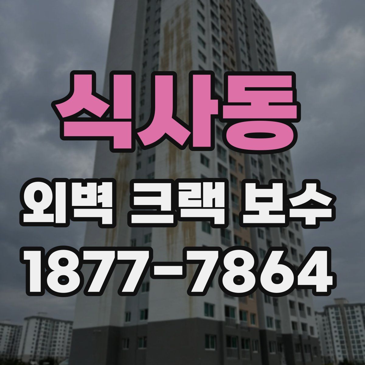식사동 외벽 크랙 보수
