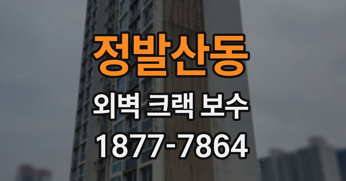 정발산동 외벽 크랙 보수