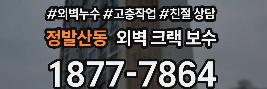 정발산동 외벽 크랙 보수