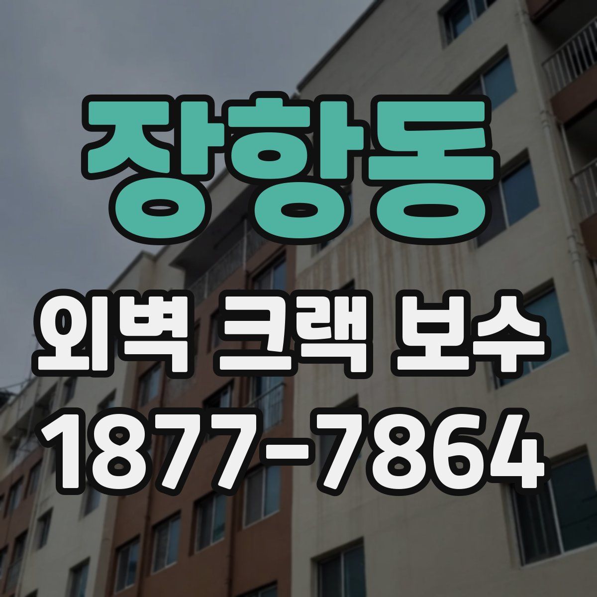 장항동 외벽 크랙 보수