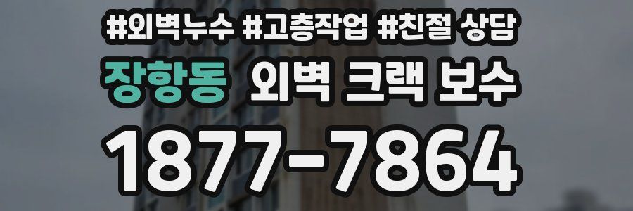 장항동 외벽 크랙 보수