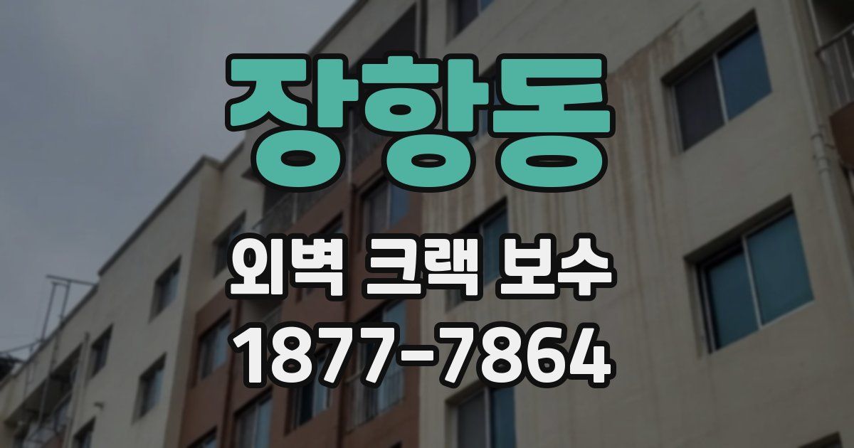 장항동 외벽 크랙 보수
