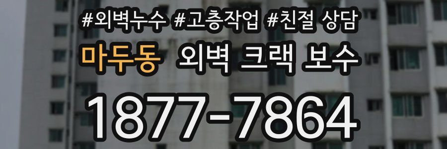 마두동 외벽 크랙 보수