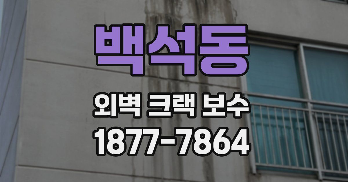 백석동 외벽 크랙 보수
