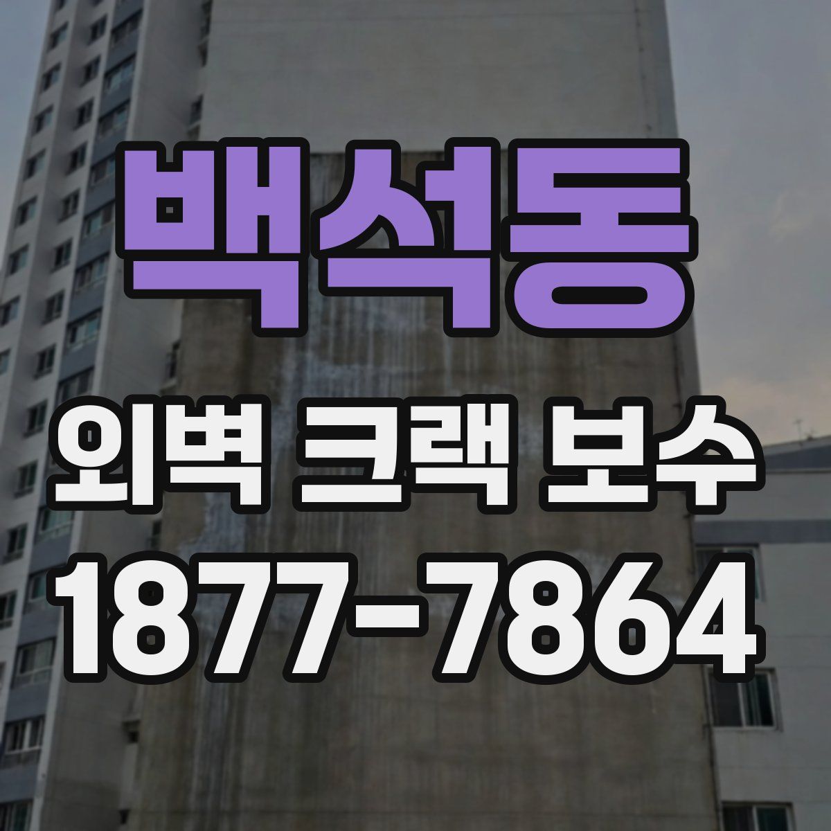 백석동 외벽 크랙 보수