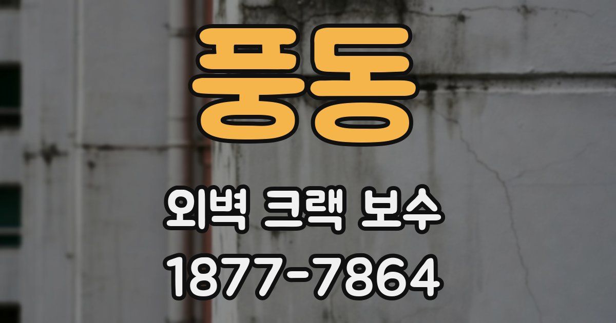 풍동 외벽 크랙 보수