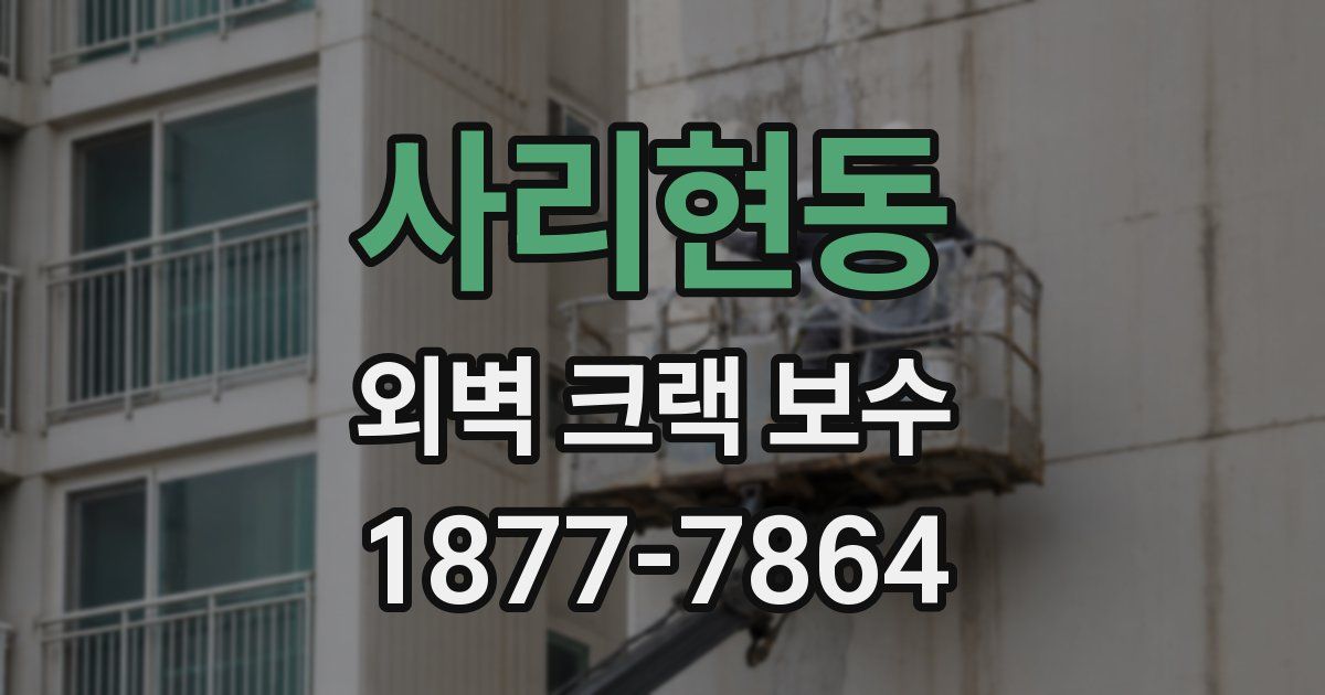 사리현동 외벽 크랙 보수