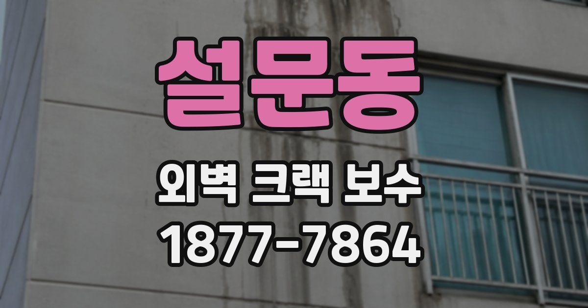 설문동 외벽 크랙 보수
