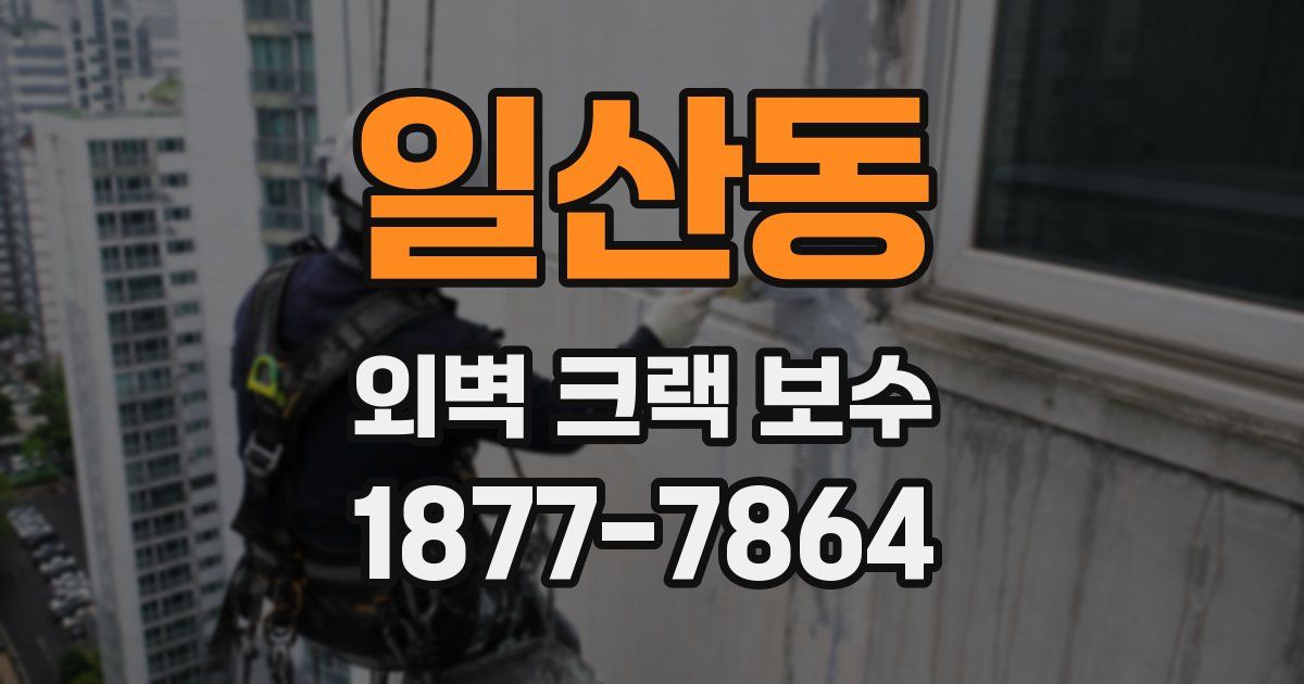 일산동 외벽 크랙 보수