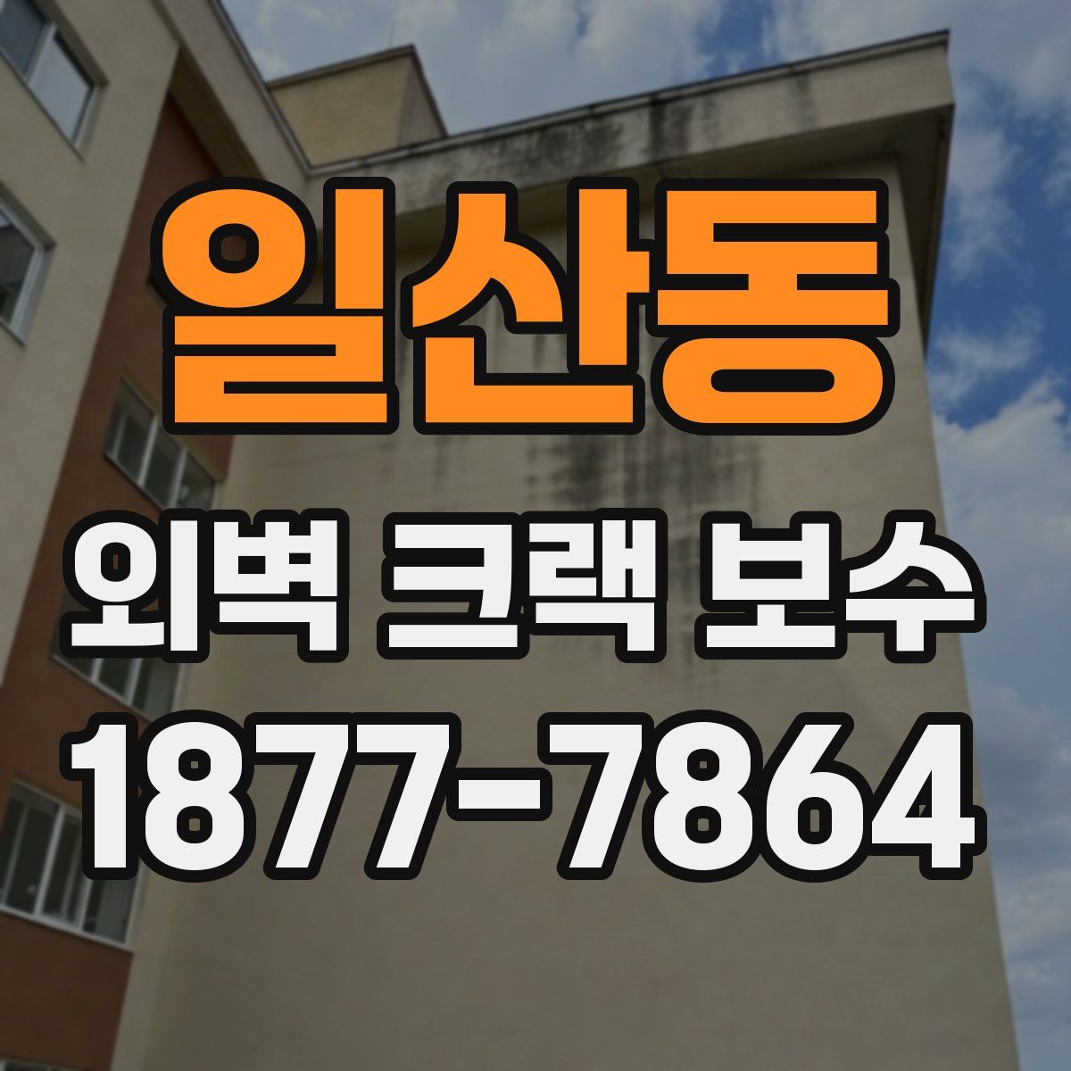 일산동 외벽 크랙 보수
