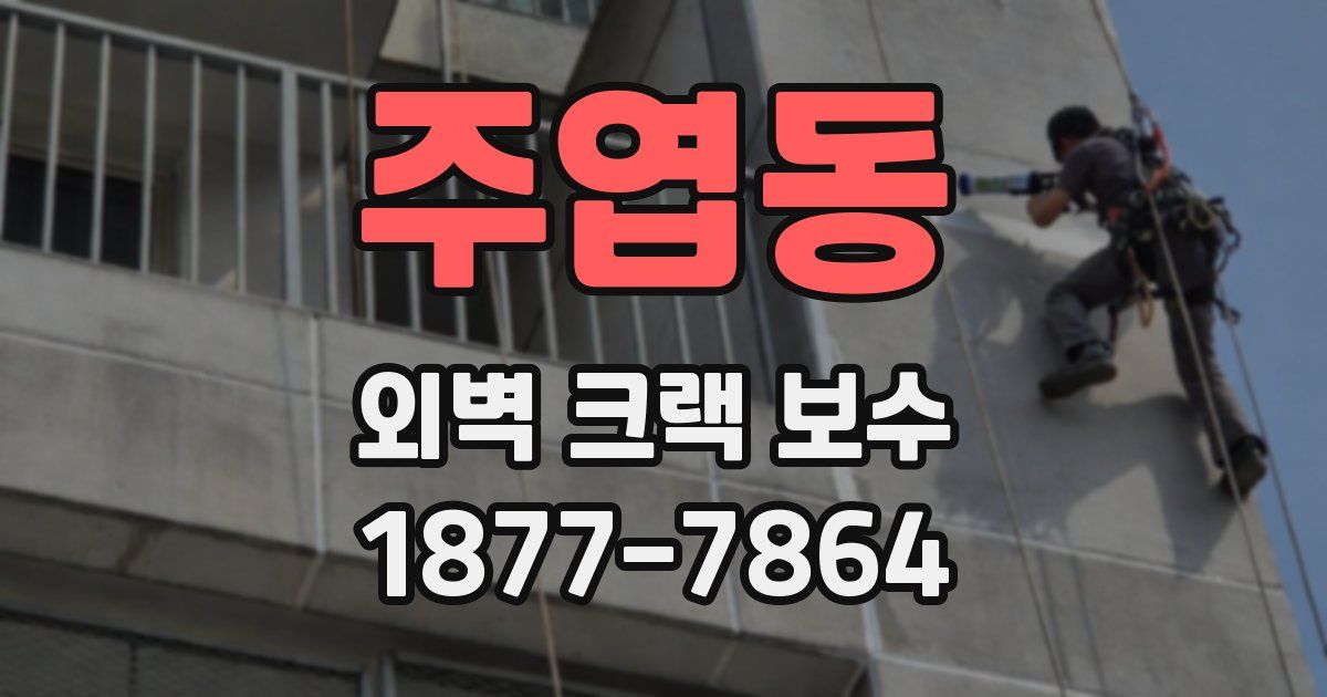 주엽동 외벽 크랙 보수