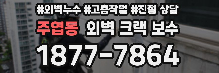 주엽동 외벽 크랙 보수