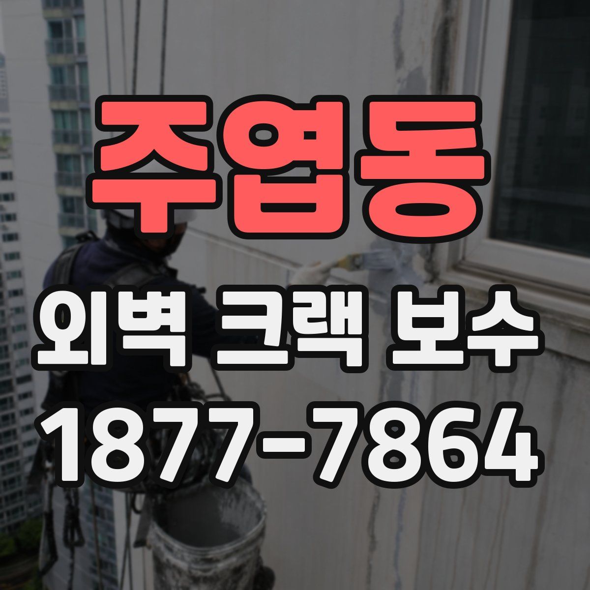 주엽동 외벽 크랙 보수