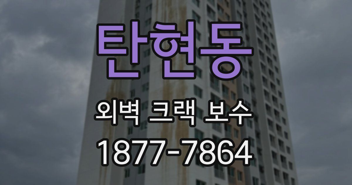탄현동 외벽 크랙 보수