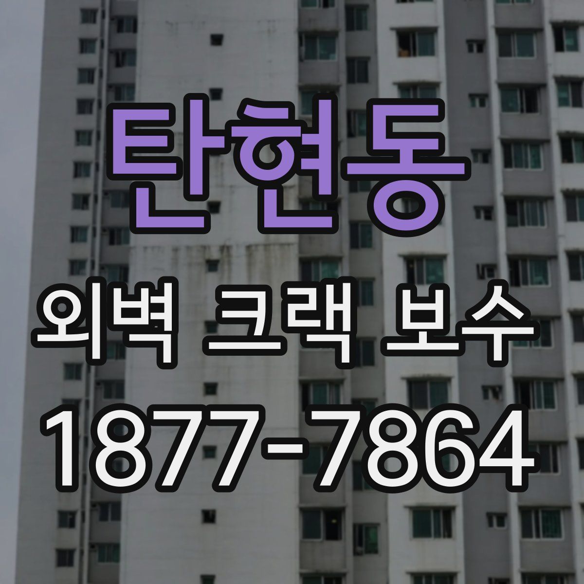 탄현동 외벽 크랙 보수