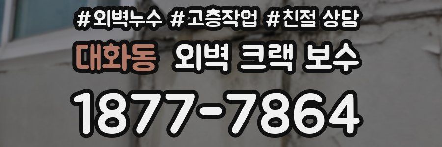 대화동 외벽 크랙 보수