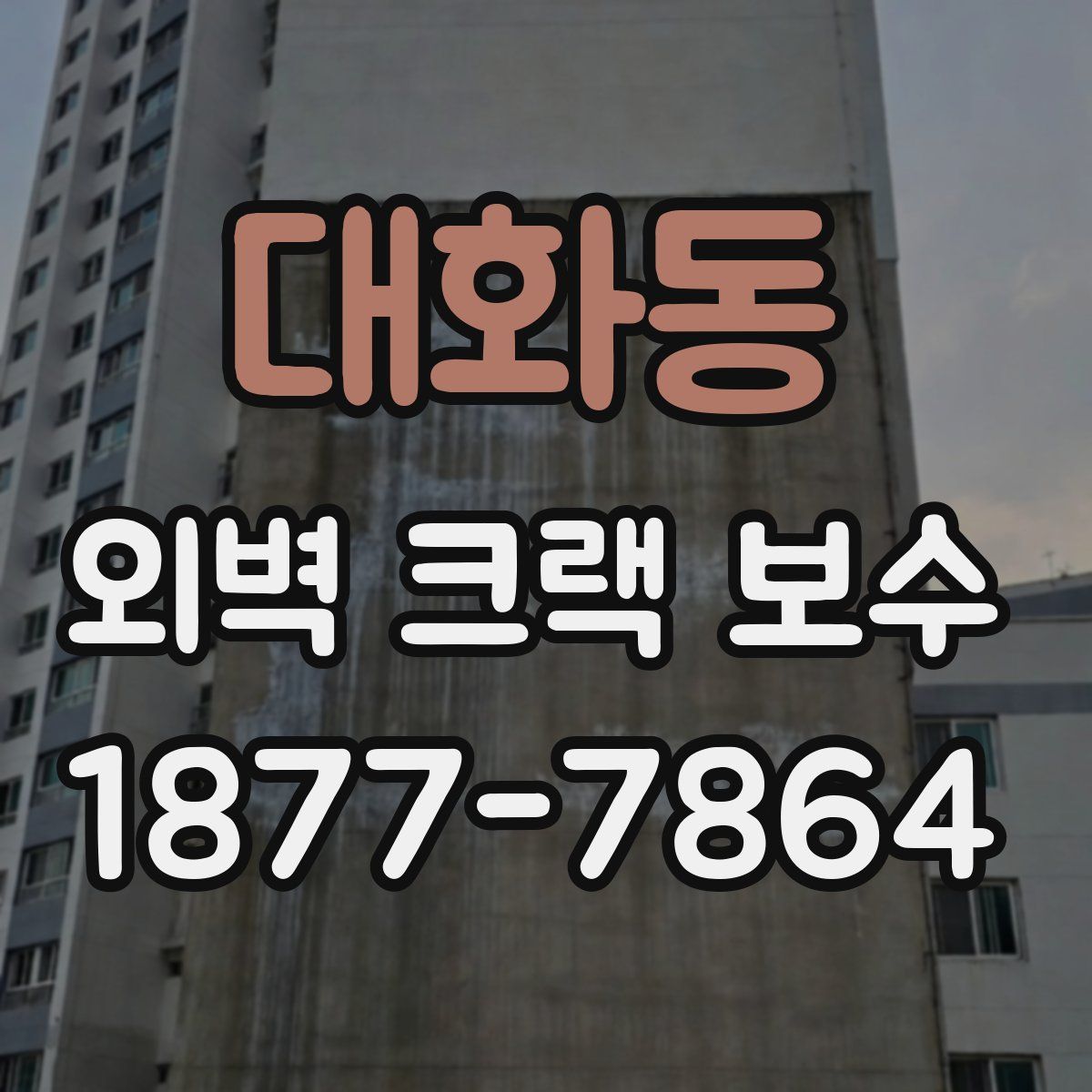 대화동 외벽 크랙 보수