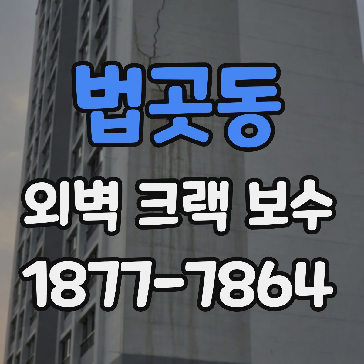 법곳동 외벽 크랙 보수