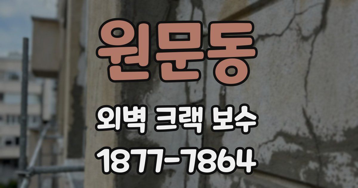 원문동 외벽 크랙 보수