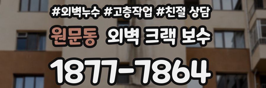 원문동 외벽 크랙 보수