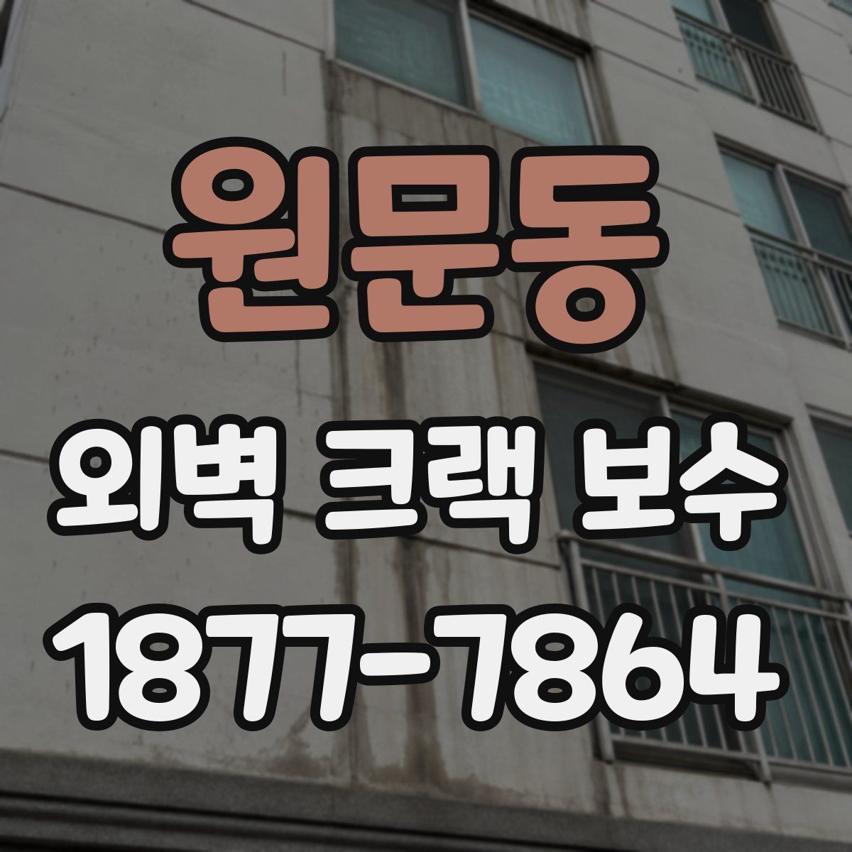 원문동 외벽 크랙 보수