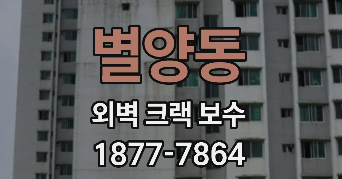 별양동 외벽 크랙 보수