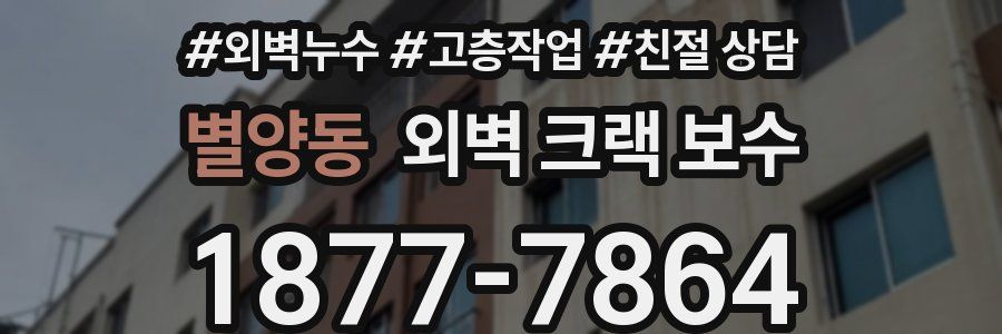 별양동 외벽 크랙 보수