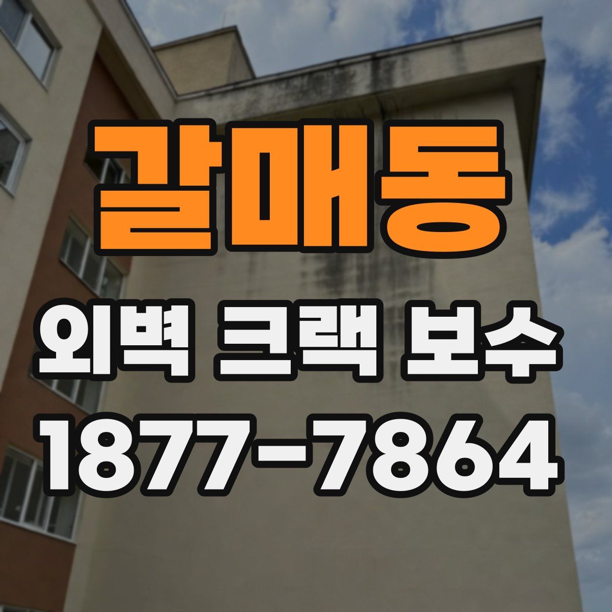 갈매동 외벽 크랙 보수
