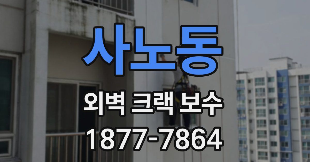 사노동 외벽 크랙 보수