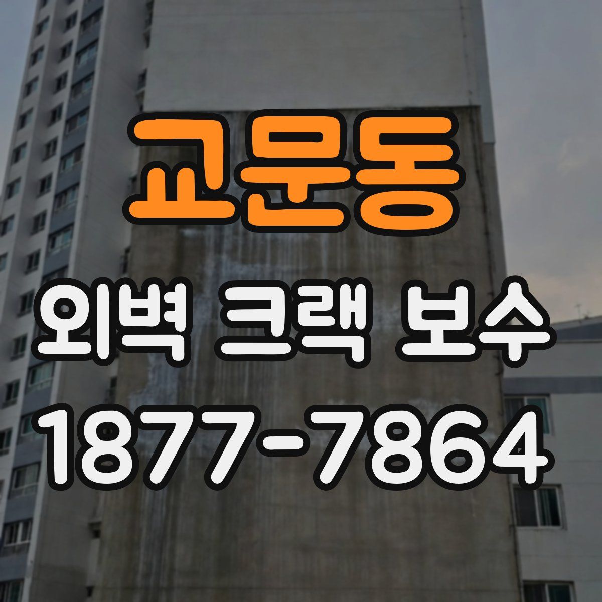 교문동 외벽 크랙 보수