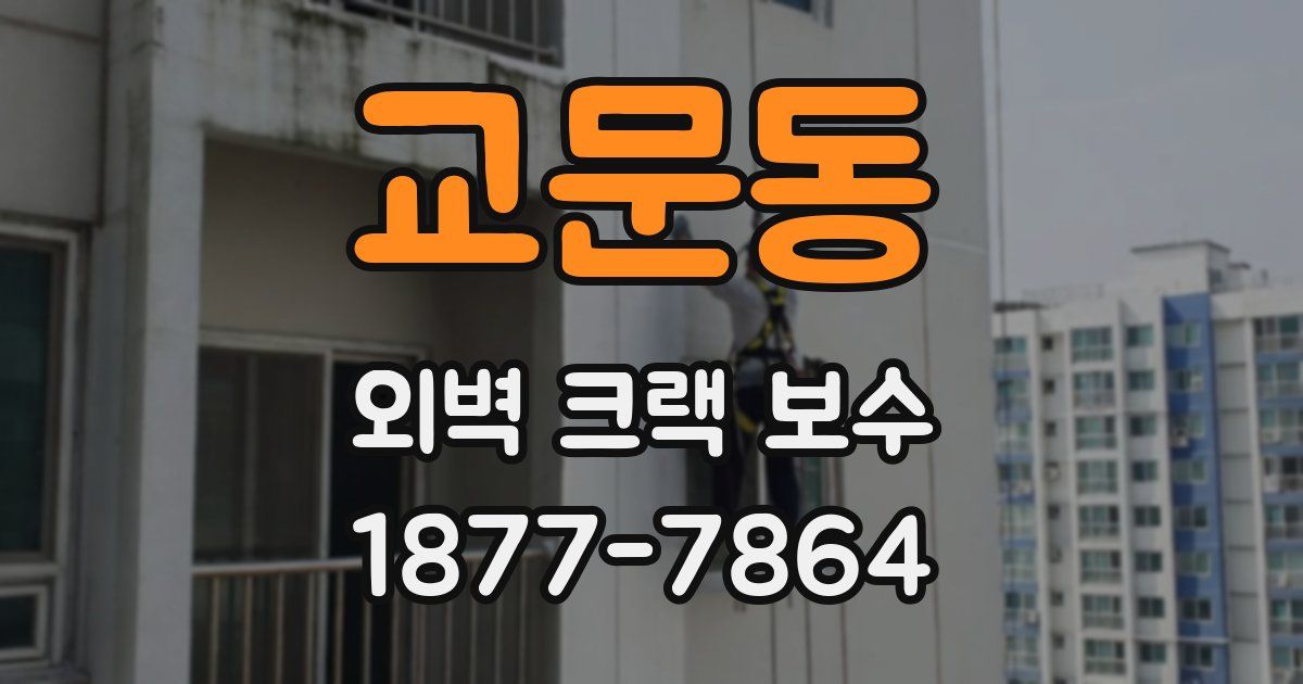 교문동 외벽 크랙 보수