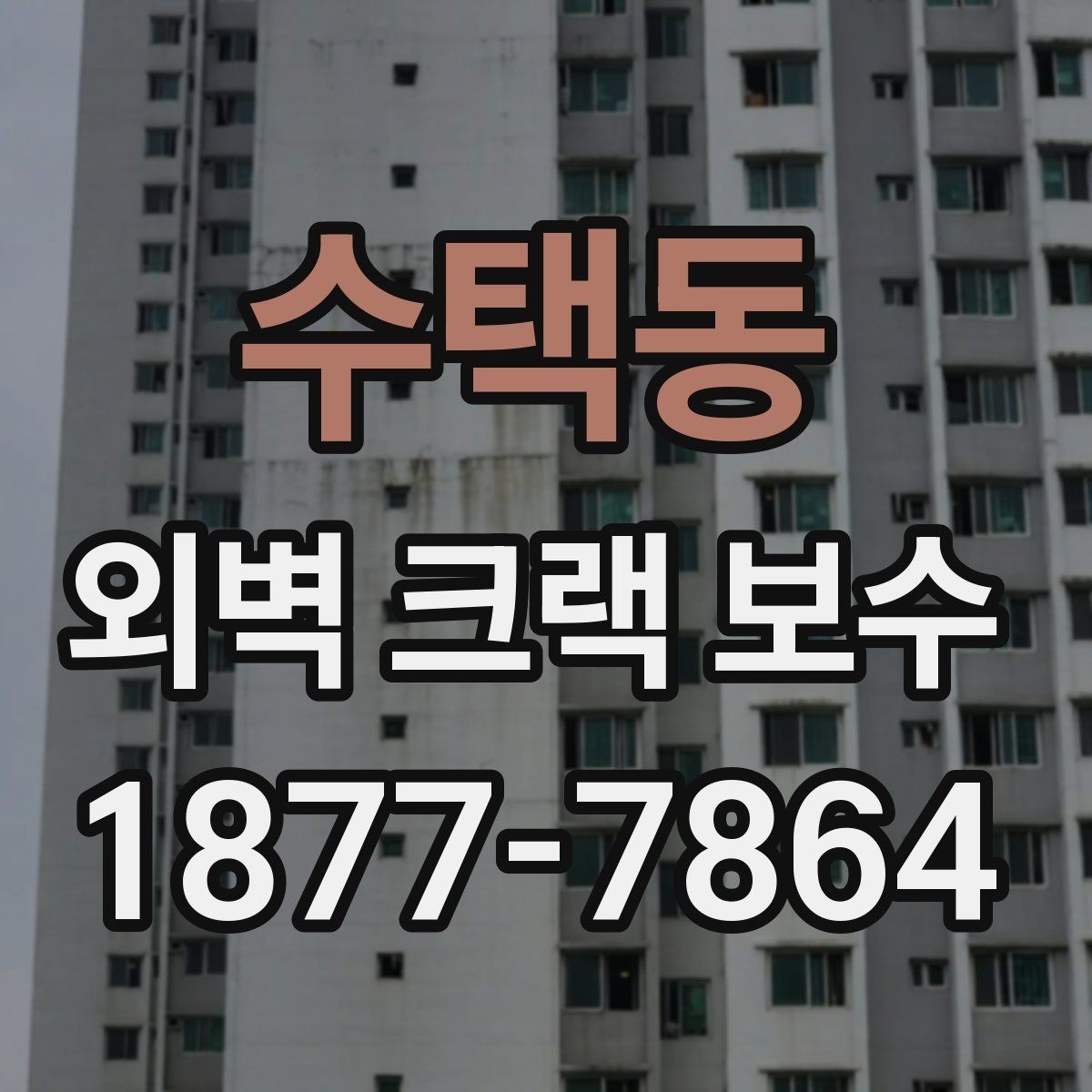 수택동 외벽 크랙 보수 현장 확인에서 보는 핵심 포인트