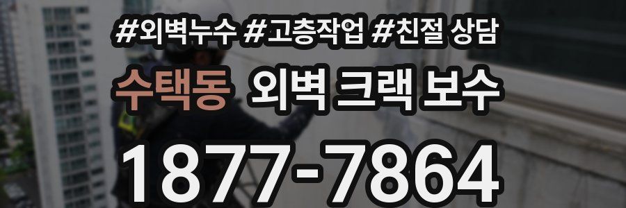 수택동 외벽 크랙 보수