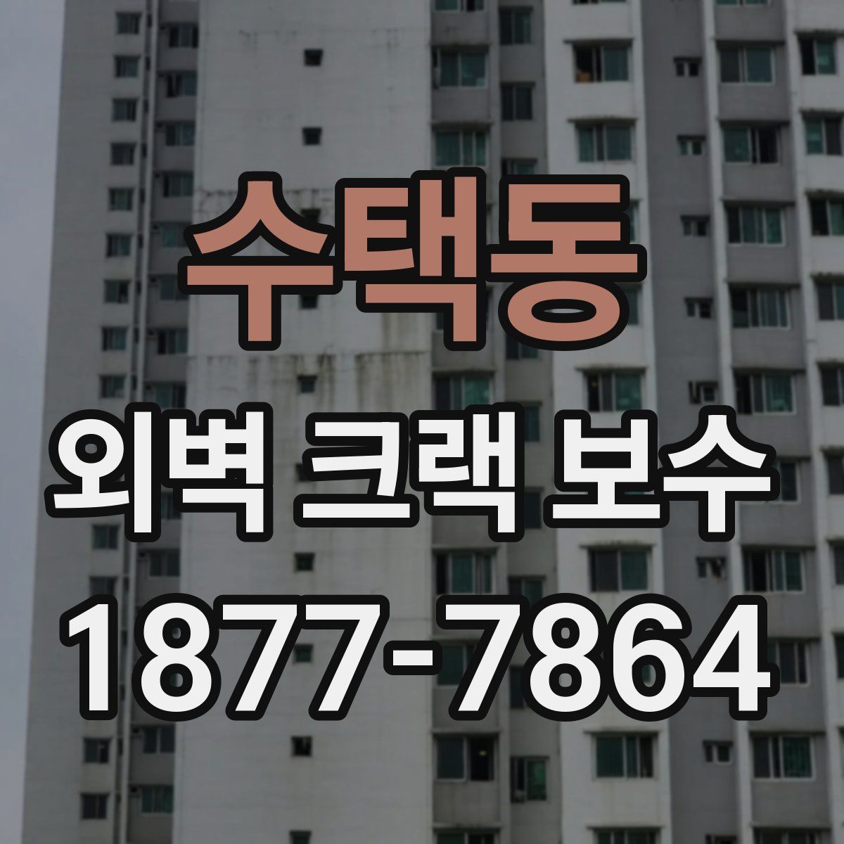 수택동 외벽 크랙 보수
